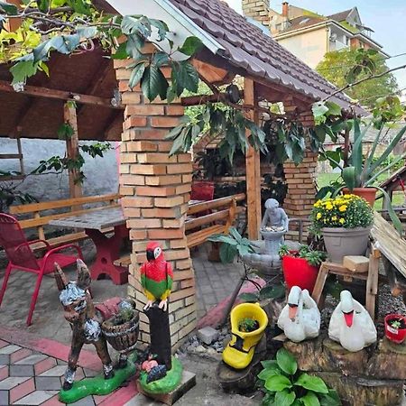 Apartman Centar Srbobran Exterior foto